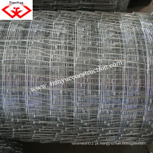 Fornecedor da China de Anping Farm Fence Grassland Fence (TYF-005)